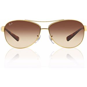 Ray-Ban Zonnebril  3386 Goud Bruin Verloop 001/13 | Sunglasses