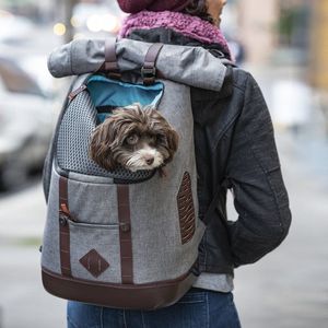 Kurgo G Train Hondenrugzak Voor Kleine Huisdieren Katten En Wandelen Kamperen Of Reizen Waterdichte Bodem Marineblauw 649682603