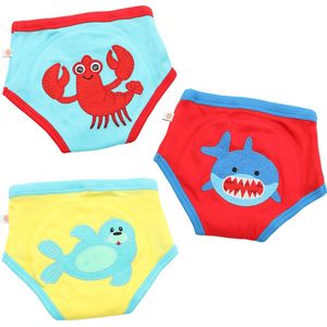 Zoocchini Oefenbroekjes 2-3 Boy Ocean