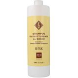 Shampoo Bio Styling Alterego Kokosnoot (1 L)