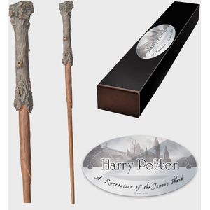 Harry Potter Ketel Bowl Met Eetstokjes