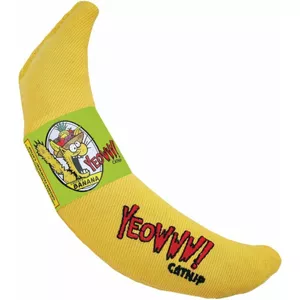 Benebone Fishbone nylon kauwspeelgoed hond (zalmsmaak
