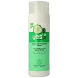 Yes To Cucumber shampoo color care 500 ml