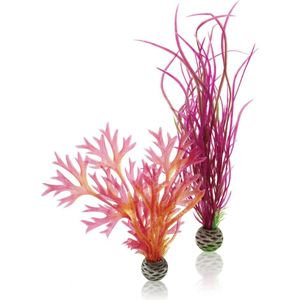 Aquarium Planten | Decoratieve Planten voor het aquarium kopen