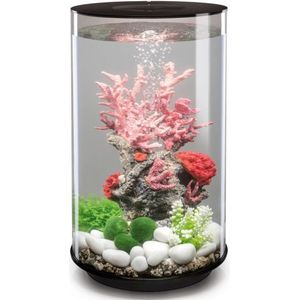 Verlichting biOrb aquarium - Tips & Adviezen