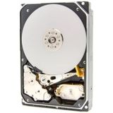 Western Digital Ultrastar DC HC550 (SE) - 18 TB
