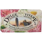 Zeep - Dolce Vivere - Pisa