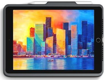 ZAGG Pro Keys Keyboard Case Apple iPad 10.2 (2019/2020/2021) - Zwart/Grey