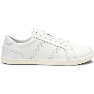 Leder-Sneaker Xero Shoes Dillon