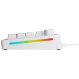 Glorious Gaming GMMK 3 65% Prebuilt toetsenbord Gamen USB QWERTY Amerikaans Engels Wit