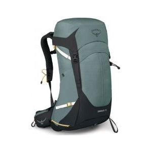 Osprey Sirrus 26 Backpack succulent green backpack