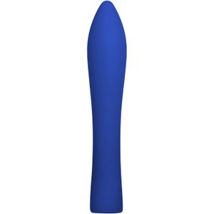 Oplaadbare waterproof vibrator Evolved