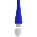 Evolved - Play Ball Vibrator - Blauw