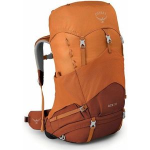 Osprey Ace 38  Rugzak