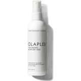 Volumizing Blow Dry Mist - 150 ml
