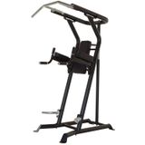 Inspire Fitness Vertical Knee Raise Power Tower