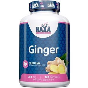 Ginger - 120 v-caps - Antioxidanten - 250mg Gember