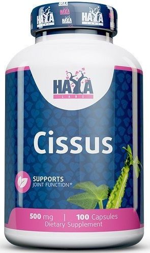 Cissus - 100 caps