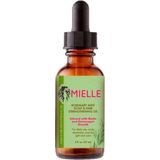 MIELLE ORGANIC Rosemary Mint Scalp & Hair Strengthening Oil