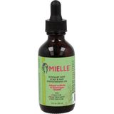 MIELLE ORGANIC Rosemary Mint Scalp & Hair Strengthening Oil