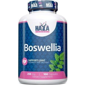 Haya Labs - Boswellia - Voedingssupplement - 100 Caps - 250mg Boswellia Extract