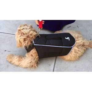 All For Paws Comfy Wrap XXL