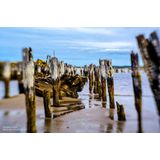 Lensbaby - Sol 45 - Objectief - Zwart - Handmatige Tilt met Selectieve Focus