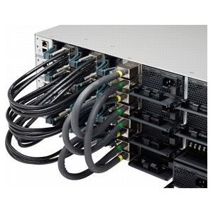 Cisco - Type 1 Stapelkabel - 50cm - Netwerkaccessoires