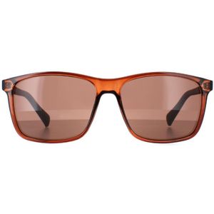 Calvin Klein CK19568S 210 Brown Sunglasses