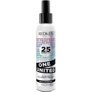 Anti-Frizz Kuur One United Redken E38623 (150 ml)