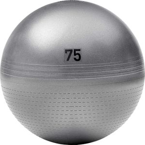 Adidas 75cm Gymball grey