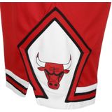 Nike - Chicago Bulls Icon Edition Swingman - Korte Broeken - Rood