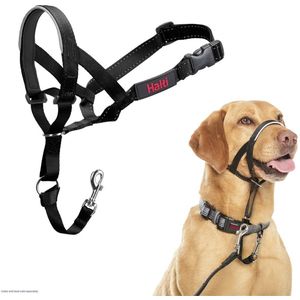 1 Pc Zachte Gevoerde Lederen Halsband Voor Kleine Medium Grote Honden Comfortabel Verstelbare Veilige Puppy Kat Halsbanden-Roze, M