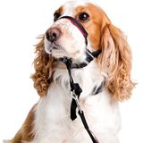 Halti OptiFit Hoofdhalsband - Hond - Anti trekhalsband - Maat M - Voor Labrador Boxer Dobermann Golden retriever