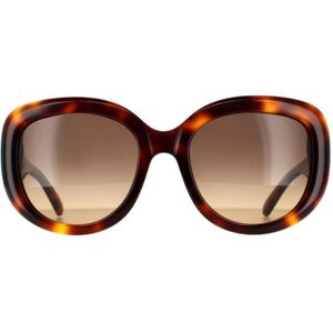 Salvatore Ferragamo Sf727s-214 Sunglasses Bruin Brown Man