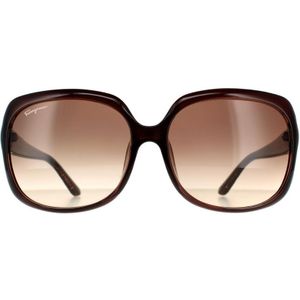 Salvatore Ferragamo zonnebril SF739SA 210 Bruin Brown GradiÃ«nt