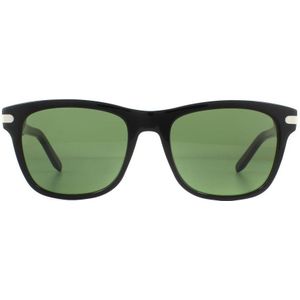 Salvatore Ferragamo Zonnebril SF936S 001 Zwart Groen | Sunglasses