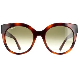 Salvatore Ferragamo Cat Eye Dames Tortoise Green SF1031s