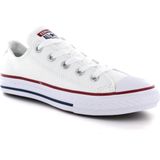 Converse Chuck Taylor All Star lage sneakers