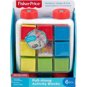 Fisher-Price Activiteiten blokken