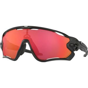 OAKLEY Injected fiets bril zwart