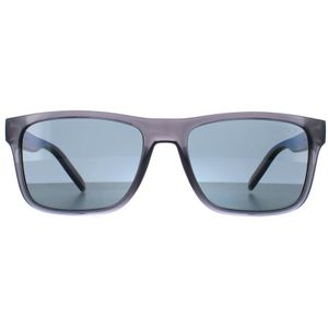 Arnette AN4298 Bandra 278681 transparant grijs donkergrijs polariserende zonnebril