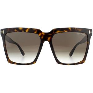 Tom Ford Zonnebril Sabrina 02 FT0764 52K Donker Havana Roviex Bruin Verloop | Sunglasses