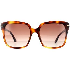 Tom Ford zonnebril Faye FT0788 53F Blonde Havana Brown Gradiënt | Sunglasses