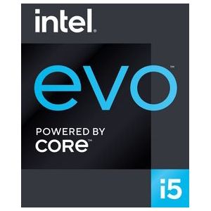 Microsoft Surface Pro 8 - 4G LTE - 256 GB SSD - 33 cm (13"") - Intel® Core™ i5 - 16 GB ram - Wi-Fi 6 (802.11ax) - Windows 11 Pro - Platina