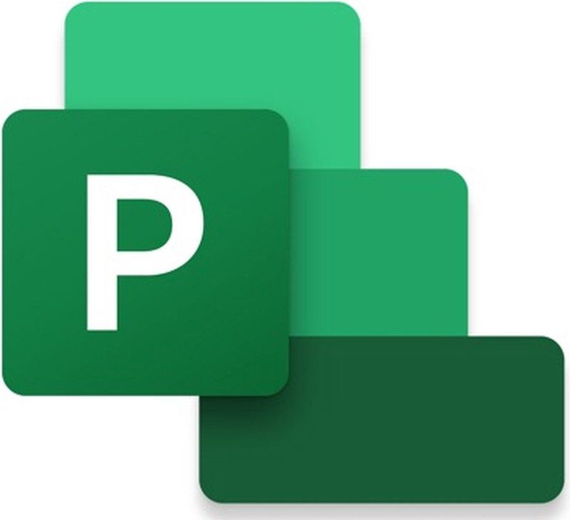 Microsoft Project Professional 2021 Kantoorsuite Volledig 1 licentie Meertalig