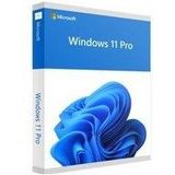 Microsoft Windows 11 Professional 64-bit Dvd En