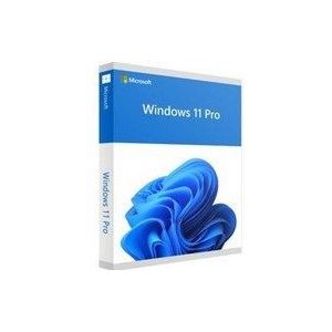 Microsoft Windows 11 Professional 64-bit Dvd En