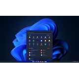 Microsoft Windows 11 Pro - 1 apparaat - Nederlands - PC Download