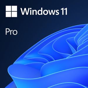 Microsoft Windows 11 Pro - 1 apparaat - Nederlands - PC